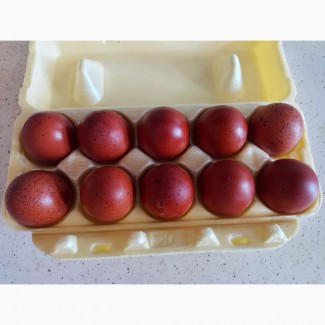 Маран яйцо инкубационное