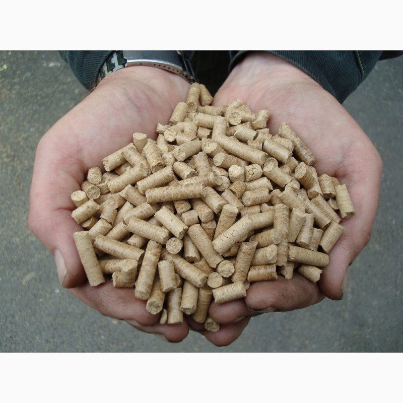 Фото 3. Пресс - грануляторы биомассы MG 100/200/400/600/800/1000 (Чехия)