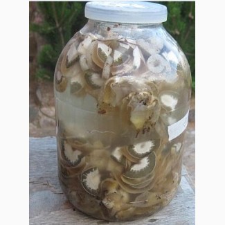 Лечебный гриб Веселка (готовая настойка - 1л.)