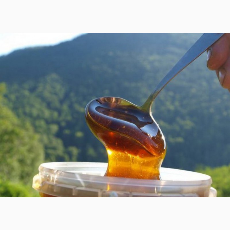 Фото 3. Алтайский мёд оптом