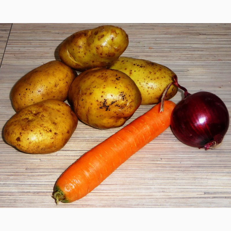 Куплю картофель, свеклу, морковь — APK-Belarus