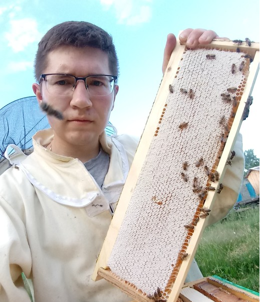 Мёд лесной и клеверный со своей пасеки