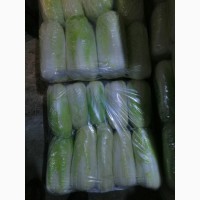 Продам пекинскую капусту от производителя. С Украины