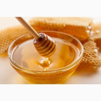 Продам мёд лесной оптом от 10 л. Урожай 2021 г