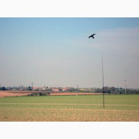 Отпугиватель птиц: Комплект воздушный змей Коршун и флагшток
