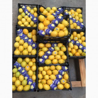 Лимоны Турция